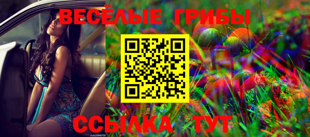 наркотики  Псилоцибиновые грибы Magic Shrooms  Вход с VPN  Кострома 