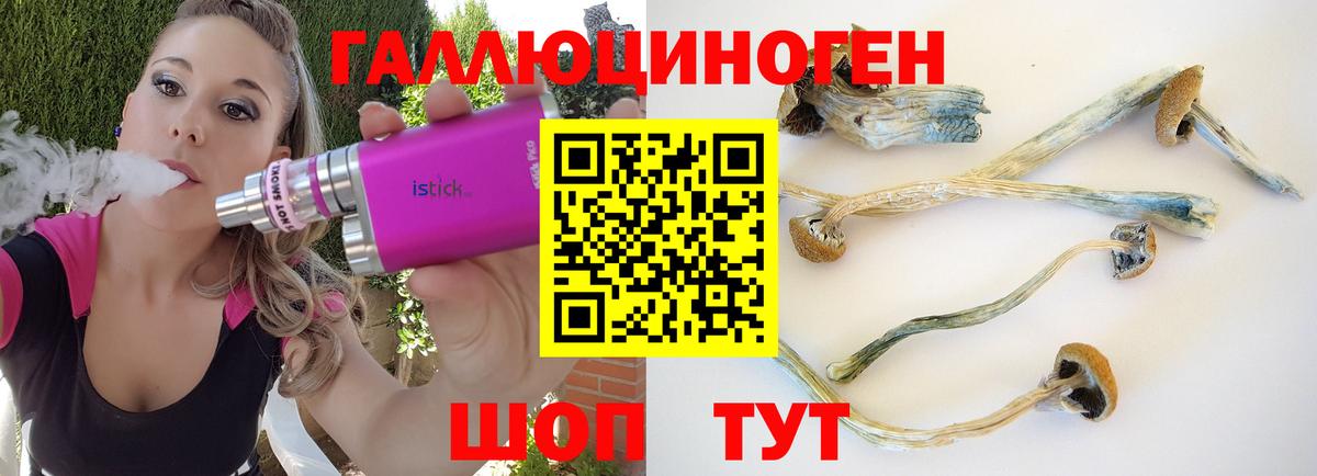 Псилоцибиновые грибы MAGIC MUSHROOMS Кострома